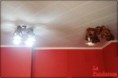 /album/comedor/dsc03536-jpg/